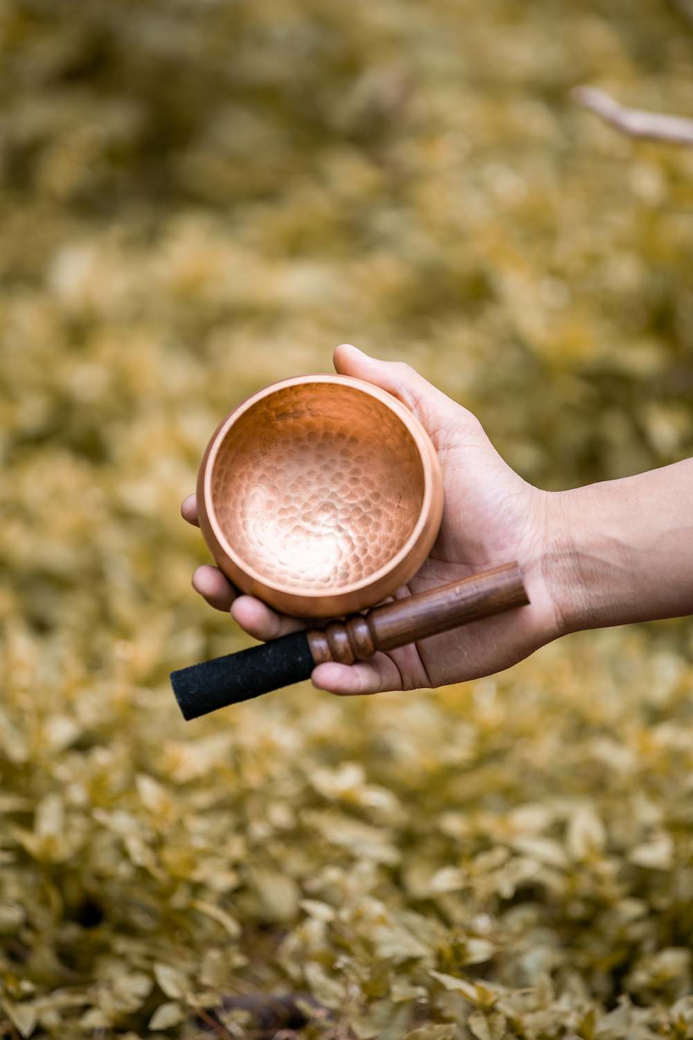 Shop Secondary Image