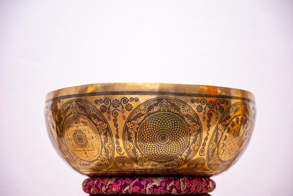 Shop Secondary Image