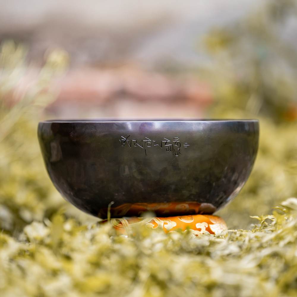 Shop Secondary Image